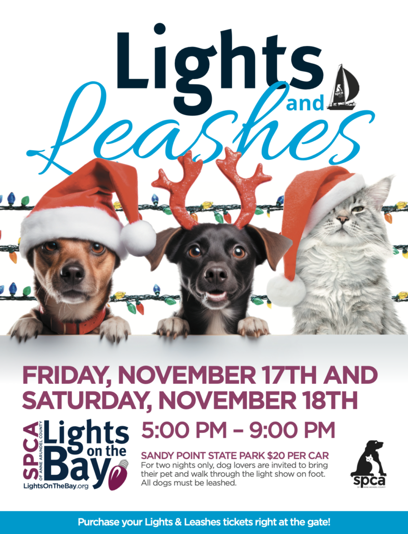 Lights & Leashes